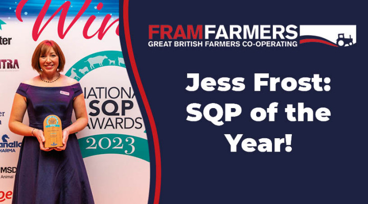 JESS FROST SQP v2