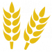 Crop Marketing Icon 01 v3