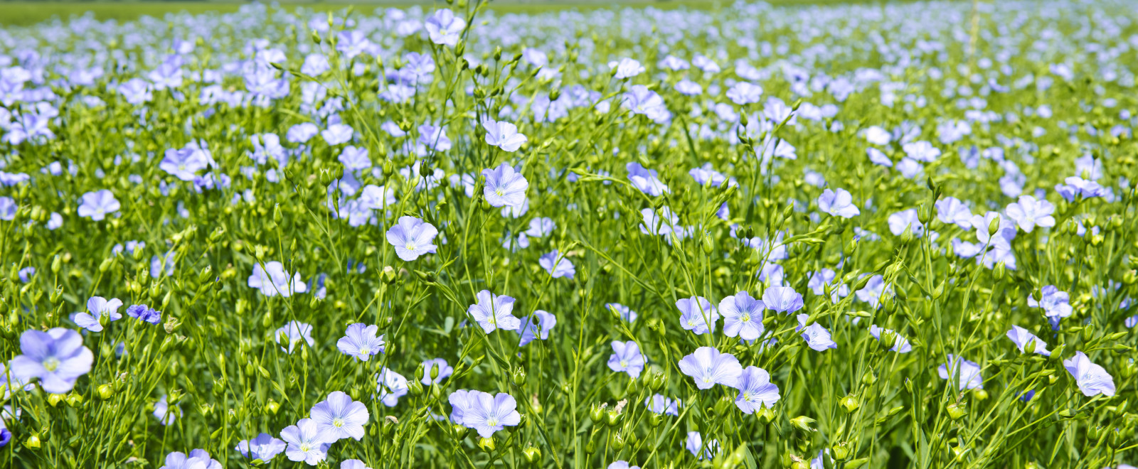 shutterstock 78739978